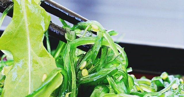 【大腸菌O7】埼玉の食中毒 “海藻サラダ”が原因　前日に水戻しし、加熱処理をしていなかった…