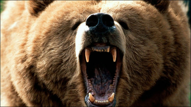 「人を食った熊は絶対殺さんといかん」クマを知り尽くしたマタギの経験談…「人は毛がない＆柔らかい獲物。間違いなく次も人を狙う」