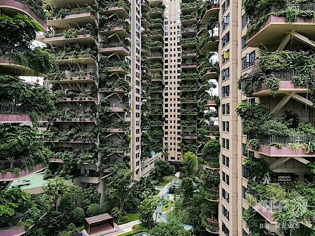 中国の緑あふれる集合住宅、蚊の来襲でほぼ無人に…