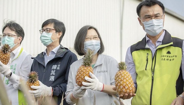 台湾パイナップル、中国の禁輸受け日本への輸出に期待