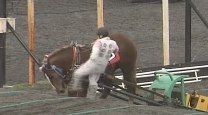 ばんえい競馬の騎手が馬の顔を蹴り炎上 → 馬主側は騎手を擁護「砂食う状態で、窒息しないよう蹴った」
