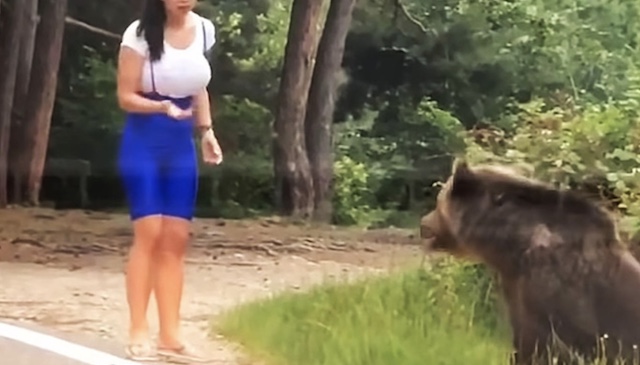 【動画】野生クマの真横で記念撮影しようとした女性の末路…