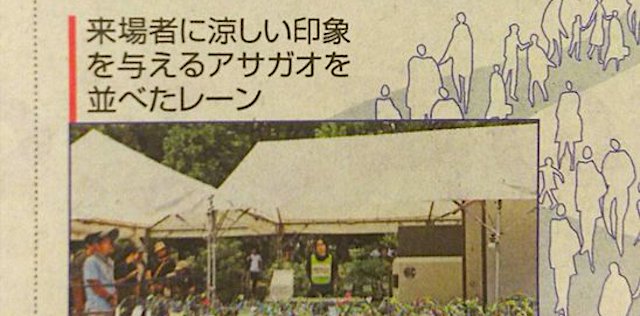 【東京五輪】暑さ対策の「アサガオ作戦」、本気で決行してしまう…