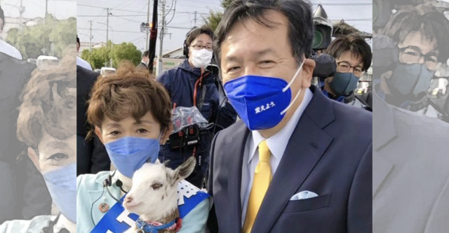 立憲・鎌田さゆり氏、当選した途端に選挙中に連れ回した子ヤギを手放す…「最後まで責任を持って育てることは困難」