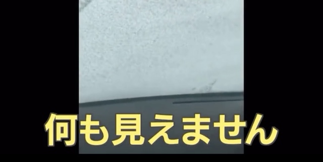 【動画】運転手「真っ白で〜す。何も見えませ〜ん」→ 結果…