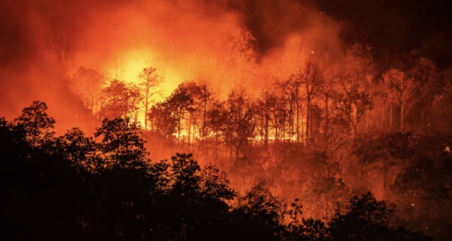 チェルノブイリで山火事、1万ヘクタール以上が焼失… 放射性物質の拡散懸念