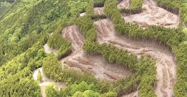 山の所有者激怒「間伐」のはずが…ヒノキ6000本“を静岡県主導で勝手に”伐採