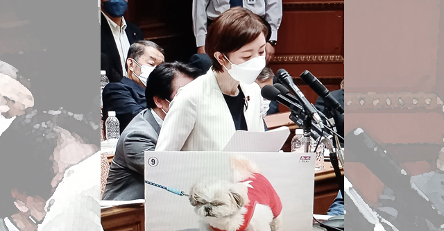 【動画】れいわ・大石氏、岸田文雄首相を「資本家の犬、財務省の犬」　衆院予算委員長が注意