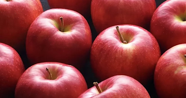 青森市で収穫控えたリンゴ約240個盗まれる… 生産者憤り「殴りたい。一発殴りたい。」