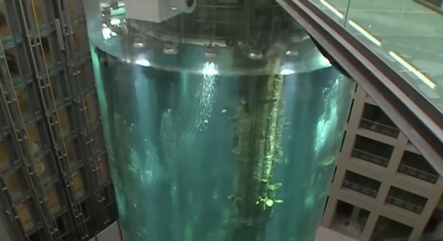 ドイツの水族館で水槽破裂、100万リットル流出　魚1500匹死ぬ