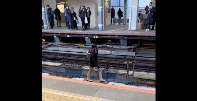 【動画】30代後半の女「対応悪くて」と線路侵入、山手線と埼京線を停めてしまう…