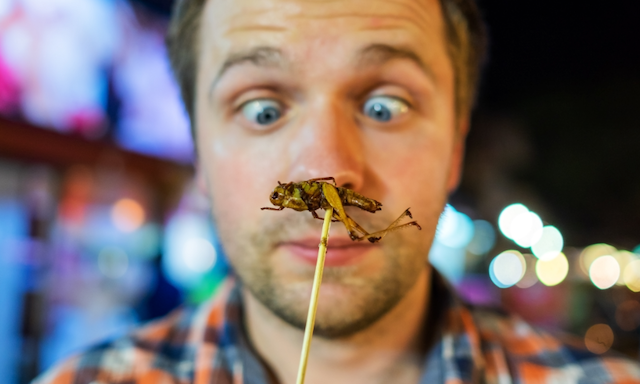 昆虫食 なぜ受け入れられない？ 食用昆虫科学研究会・吉田氏「昆虫は多様性の象徴」