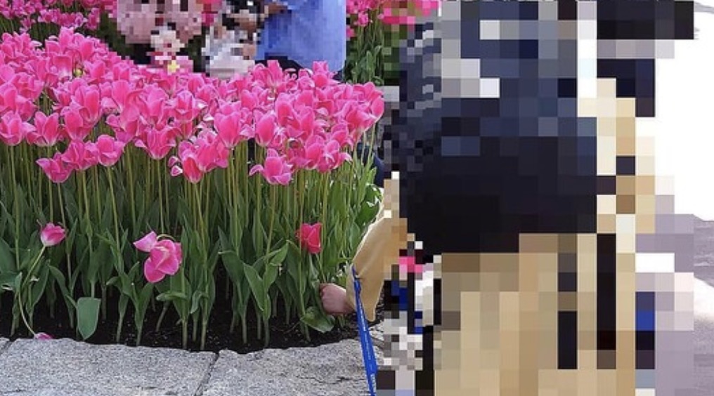 ディズニーランドで“お花摘み”… 子連れ客が物議 → 運営「ご遠慮いただきたい」