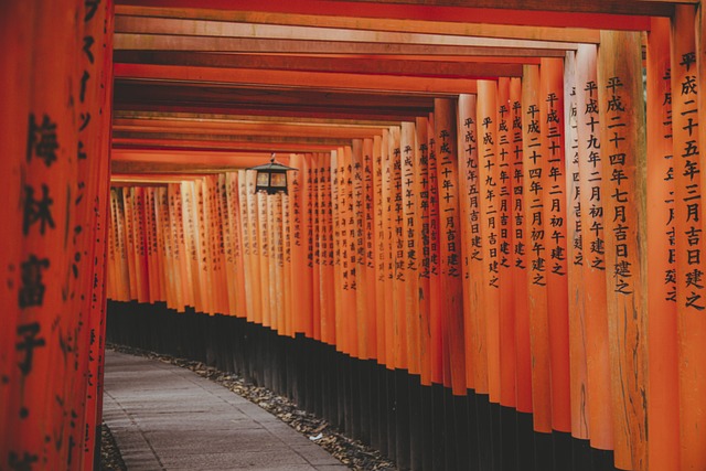 京都の伏見稲荷大社、『世界で最悪な観光地』にランク入り… 理由は「映えない」