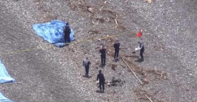 海岸で焼かれた状態の乳児とみられる遺体見つかる… 静岡・沼津市