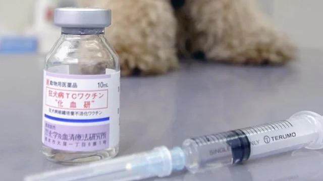 ツイ民「狂犬病ワクチンは日本獣医師会と麻生太郎の懐を潤しています！狂犬病ワクチンは必要ありません！」→ ツッコミ殺到…