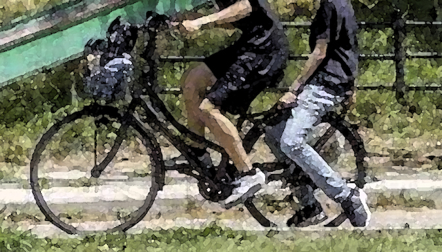 2人乗り自転車、京王線特急に衝突… 2人(20代男性)死亡