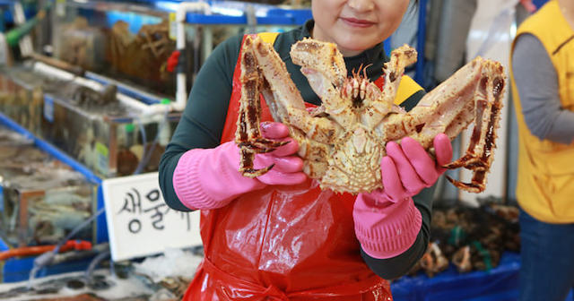 【韓国】魚介類「日本離れ」　汚染水放出決定でさらに輸入減