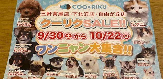 【話題】本日より日本最大のペットショップ『Coo&RIKU』にて子犬と子猫のセール！普通に買うと数十万円するワンちゃんネコちゃんが激安に！安さの理由は企業秘密…