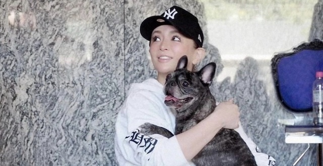「どんな子でも最期まで幸せにします」浜崎あゆみさんが保護犬2匹を引き取る、保護団体が明かす"神対応"