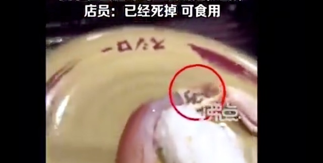 【動画】スシローに来た中国人女性、『蟹ビル』を知らずブチギレ…