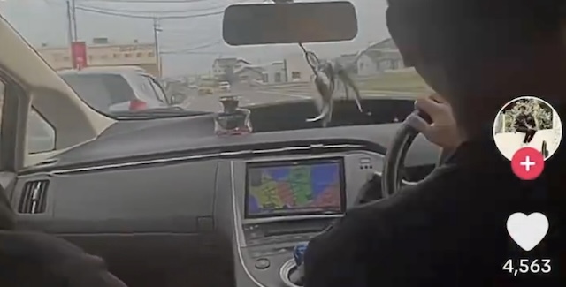 【動画】外国人さん、日本国内でとんでもない運転を披露…