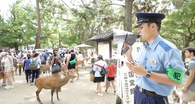 【動画】奈良県警が出動「シカを蹴るな」英語や中国語でアナウンス