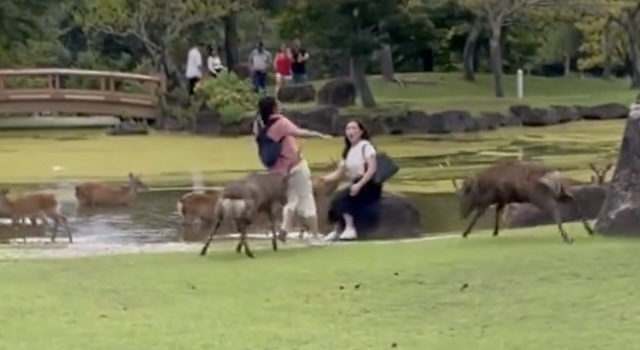 [Video]へずまりゅう： 