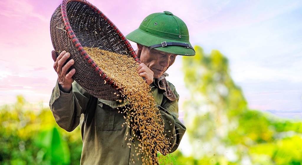 日本で中国産米が販売開始「絶対に買わない」→ 中国ネット「日本人には古古古古古米がお似合い」「日本は食品添加物大国。中国のコメを批判する資格はあるの？」