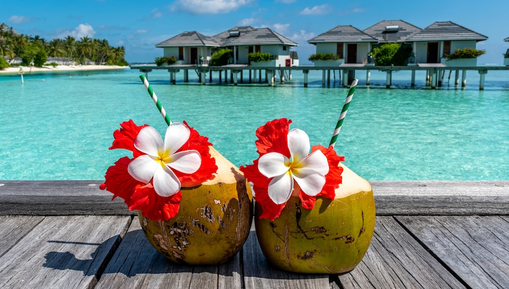 マムダニは豪華なトロピカルリゾートへ出発します。