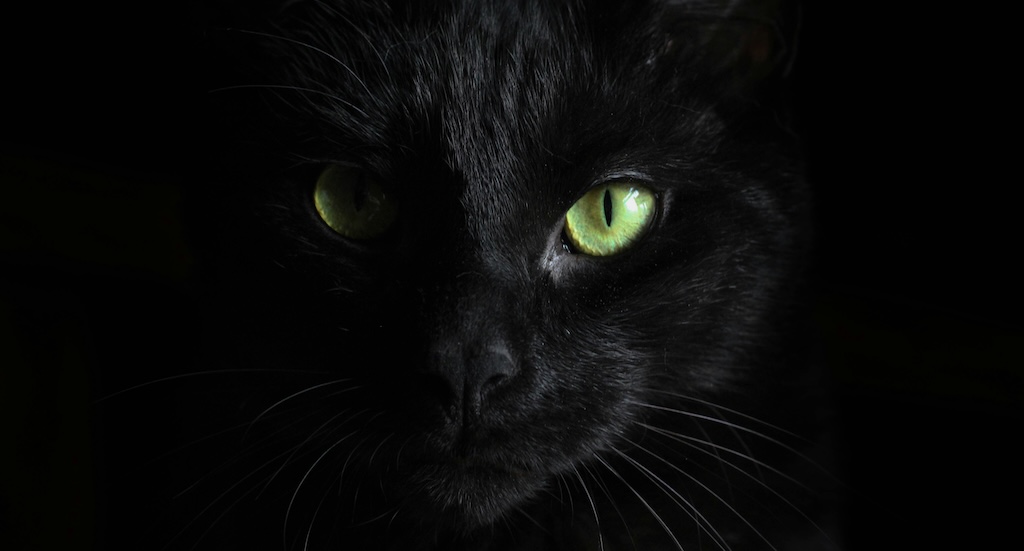 ヤマト運輸、2027年から長距離輸送にベトナム人ドライバー500人雇用へ