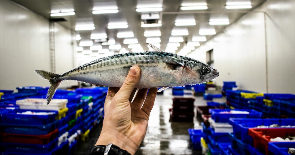 【発表】台湾政府、日本産食品の輸入規制を全て撤廃