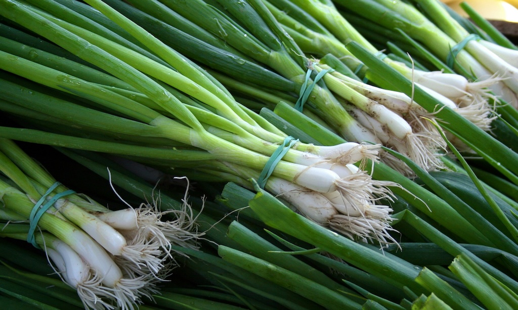 【話題】『中国やばすぎ！中国産ネギは、腎臓や肝臓に障害を与える硫酸銅で着色、しかも、毎年4万トン以上日本で輸入している模様…』