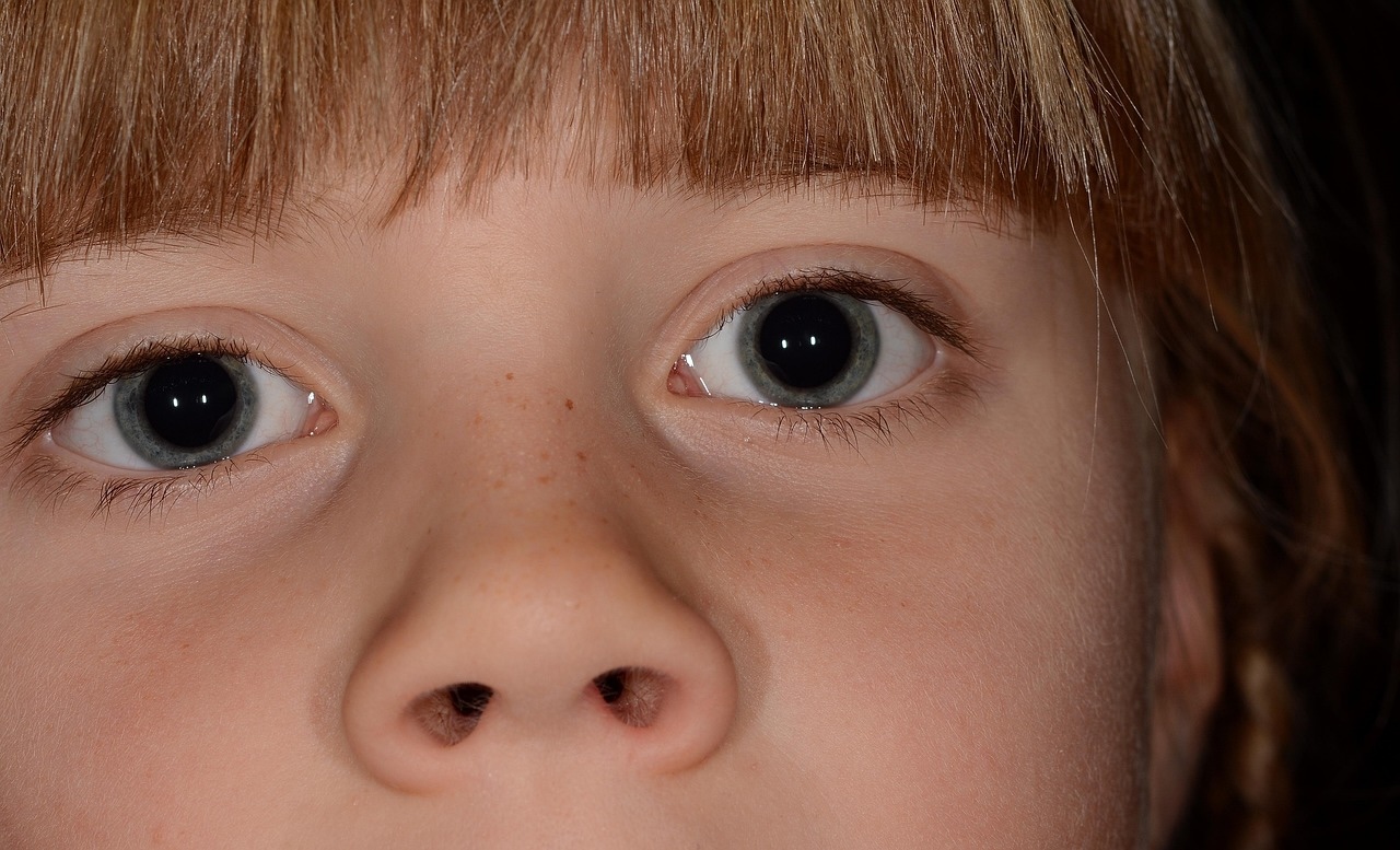 【注意喚起】韓国の鼻整形で他人の死体軟骨が無断で使われる日本人が急増… 高須幹弥院長「修正手術をするとぽろぽろ取れる、他人の骨なので癒着しない」