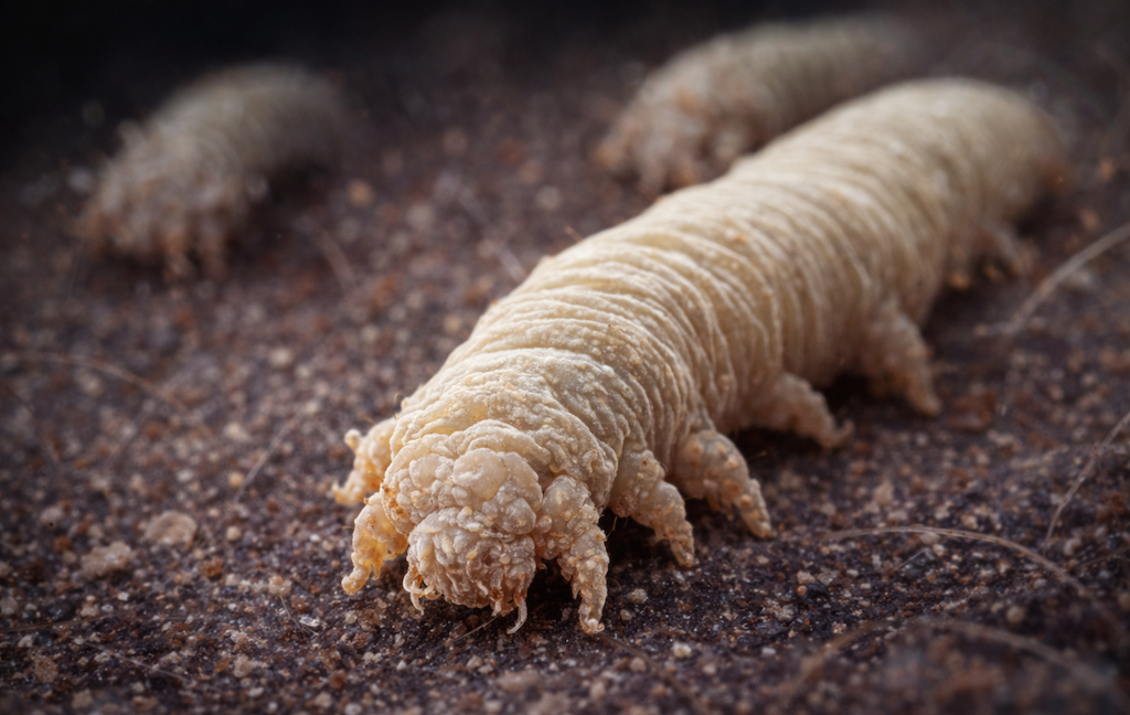 【画像】皮膚科医「私、どの化粧品も合わないんです、と訴える人を精査するとだいたいこれ…」