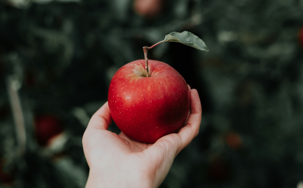 Appleサポートの指示でフィルムを剥がした結果 → 6000円フィルムが破損『保証対象外』と言われた話