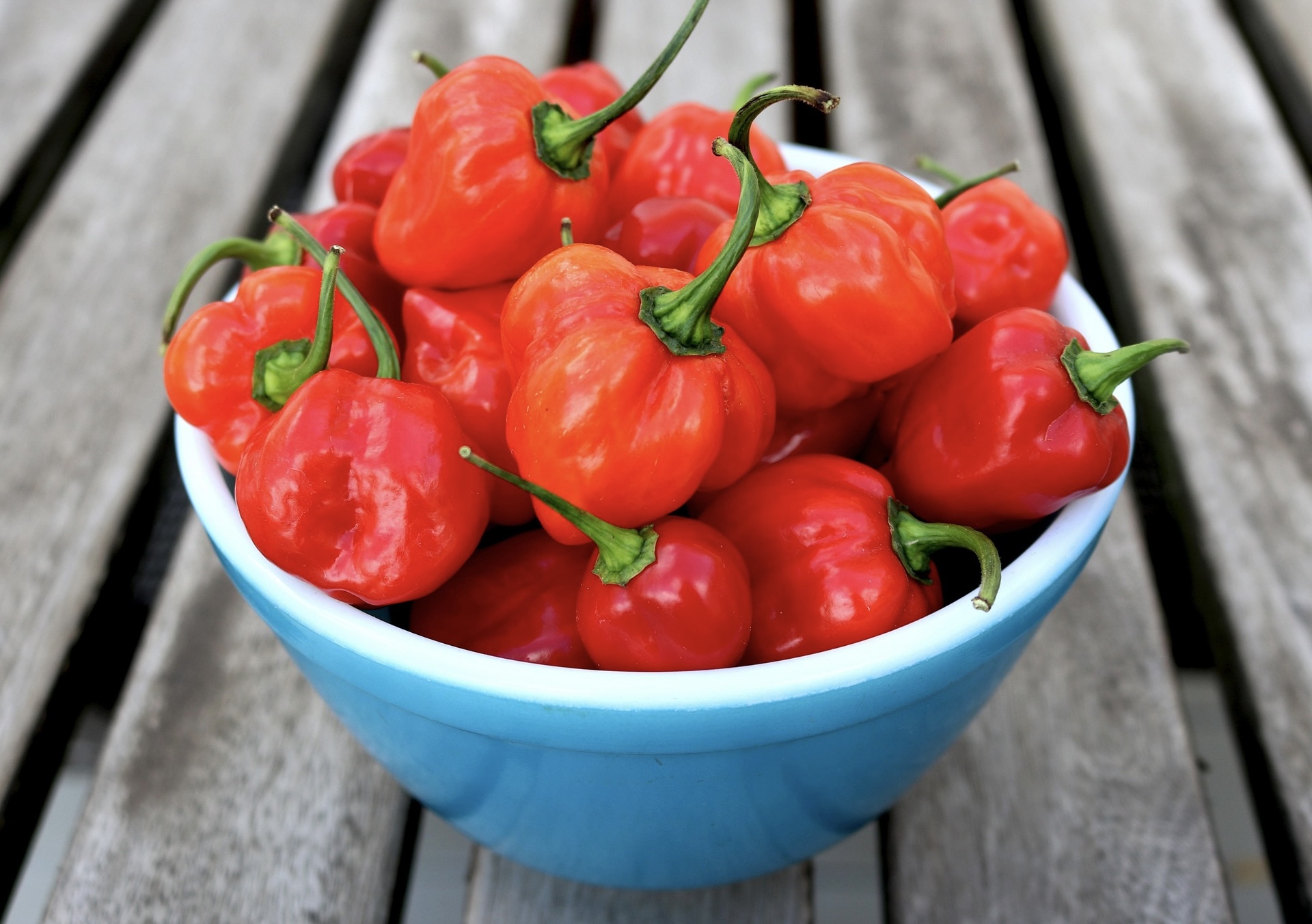 へずまりゅう氏「これはヤバすぎる。中国人が超暴君ハバネロを鹿さんに食べさせました…」