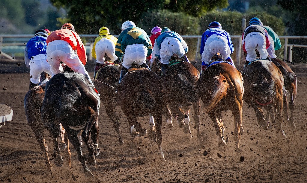 橋木太希騎手(19)、“重大な非行”判明で騎乗停止に… 詳細は非公表