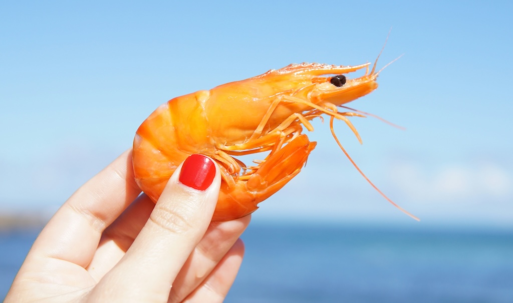 【動画】人気YouTuber「一貫7,500円の幻の高級エビ寿司、実際に食べてみた！」→ 率直な感想がこちら…