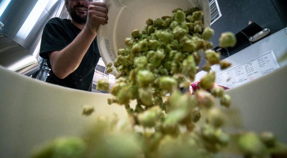 【小学生行方不明事件】X民「南丹市野生鳥獣捕獲個体減容化施設で処理されてしまっていたら、遺体も証拠も出てこないだろう」「◯◯も辻褄が合ってしまうんだよな…」