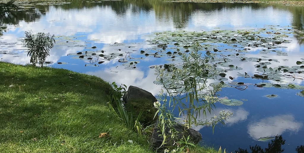 【福岡】大濠公園の池で「人が浮いている」と110番 → 女性の死亡確認