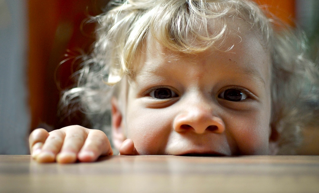 花見の女性に“かみつき”疑いの男性(89)、逮捕連行中に死亡…