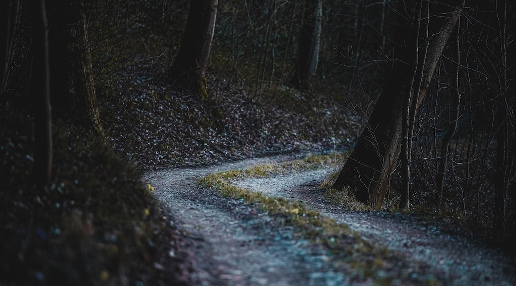 京都・南丹の11歳男児遺体遺棄、養父逮捕で新事実… 発見山林の前に市内別の場所へ遺棄か