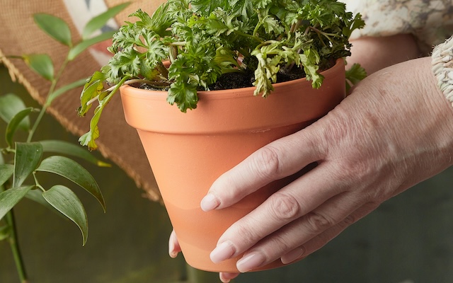 「私生活のモヤモヤを解消するため…」集合住宅の6階から植木鉢を投下した韓国籍の女(66)を逮捕